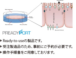 PREADYPORT™（排出型トランスポーター発現細胞播種プレート）の写真