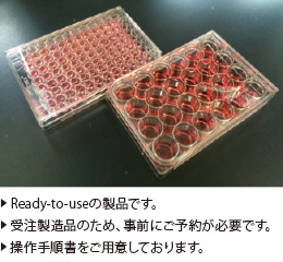 PREDICELL™（取り込み型トランスポーター発現細胞播種プレート）の写真